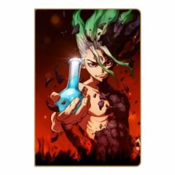 Блокнот Senku Doctor Stone - PrintSalon