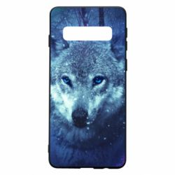 Чехол для Samsung S10 Blue-eyed wolf - PrintSalon