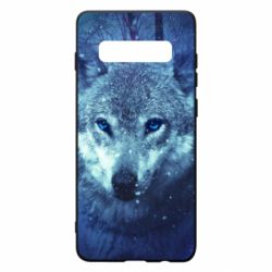 Чехол для Samsung S10+ Blue-eyed wolf - PrintSalon