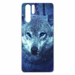Чехол для Huawei P30 Pro Blue-eyed wolf - PrintSalon