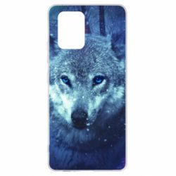 Чехол для Samsung S10 Lite Blue-eyed wolf - PrintSalon