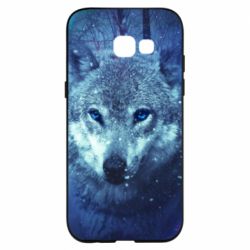 Чехол для Samsung A5 2017 Blue-eyed wolf - PrintSalon