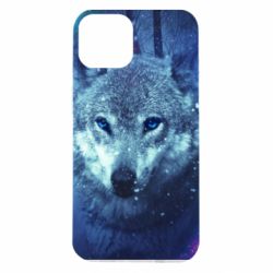 Чехол для iPhone 14 Blue-eyed wolf - PrintSalon