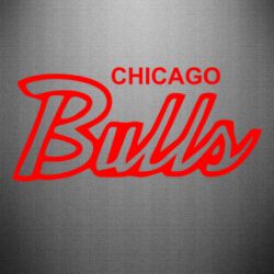 Наклейка Bulls from Chicago - PrintSalon