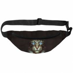 3D-сумка на пояс Cat face art - PrintSalon