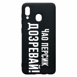 Чехол для Samsung A30 Чао персик, Дозревай! - PrintSalon