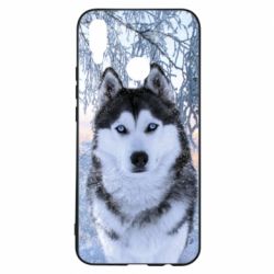Чохол для Huawei P Smart Plus 2018 Winter Husky - PrintSalon