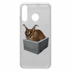 Чехол для Huawei P30 Lite Шлепа в тазике - PrintSalon