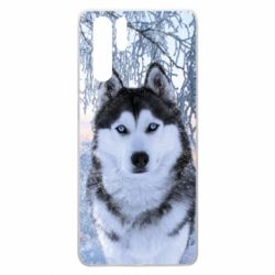 Чехол для Huawei P30 Pro Winter Husky