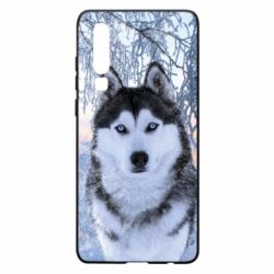 Чохол для Huawei P30 Winter Husky - PrintSalon