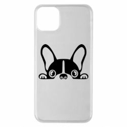 Чехол для iPhone 11 Pro Max French Bulldog Puppy - PrintSalon