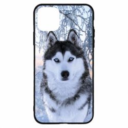 Чохол для iPhone 11 Pro Winter Husky - PrintSalon
