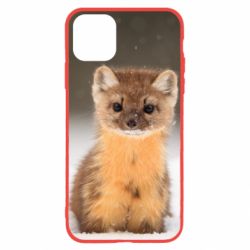 Чехол для iPhone 11 Пушистая куница - PrintSalon