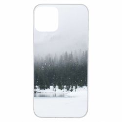 Чохол для iPhone 11 Winter forest - PrintSalon