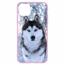 Чохол для iPhone 11 Winter Husky - PrintSalon