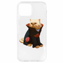 Чехол для iPhone 12 Akatsuki angry cat - PrintSalon