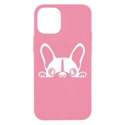 Чехол для iPhone 12 mini French Bulldog Puppy - PrintSalon