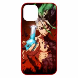 Чохол для iPhone 12 mini Senku Doctor Stone - PrintSalon