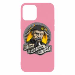 Чехол для iPhone 12 Огонь ожесточенных не печет - PrintSalon