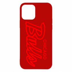 Чохол для iPhone 12 Pro Bulls from Chicago - PrintSalon