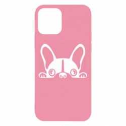 Чехол для iPhone 12 Pro French Bulldog Puppy - PrintSalon