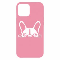 Чехол для iPhone 12 Pro Max French Bulldog Puppy - PrintSalon