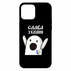 Чехол для iPhone 12 Pro Max Ничоси Украинец