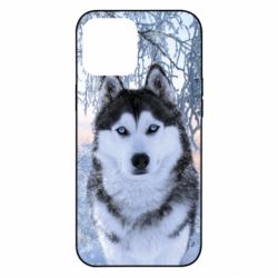 Чохол для iPhone 12 Pro Max Winter Husky - PrintSalon