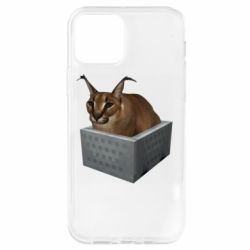 Чехол для iPhone 12 Pro Шлепа в тазике - PrintSalon