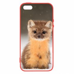 Чехол для iPhone5/5S/SE Пушистая куница - PrintSalon