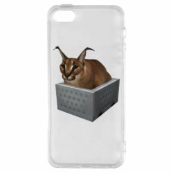 Чехол для iPhone5/5S/SE Шлепа в тазике - PrintSalon