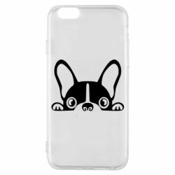 Чохол для iPhone 6/6S French Bulldog Puppy