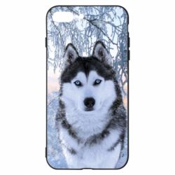 Чохол для iPhone 7 Plus Winter Husky - PrintSalon