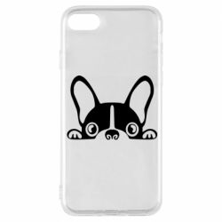 Чехол для iPhone 8 French Bulldog Puppy - PrintSalon