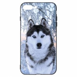 Чохол для iPhone 8 Plus Winter Husky - PrintSalon