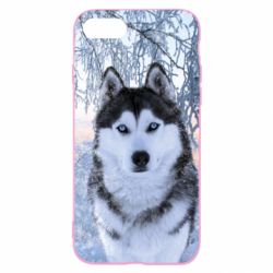 Чохол для iPhone 8 Winter Husky - PrintSalon