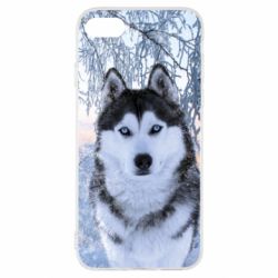 Чохол для iPhone SE 2020 Winter Husky - PrintSalon