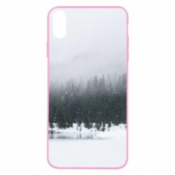 Чохол для iPhone X/Xs Winter forest - PrintSalon