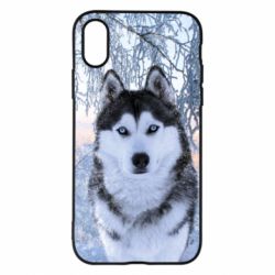Чохол для iPhone X/Xs Winter Husky - PrintSalon