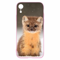 Чехол для iPhone XR Пушистая куница - PrintSalon