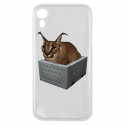 Чехол для iPhone XR Шлепа в тазике