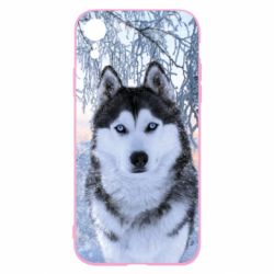 Чохол для iPhone XR Winter Husky - PrintSalon