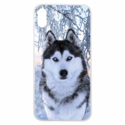 Чохол для iPhone Xs Max Winter Husky - PrintSalon