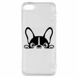 Чехол для iPhone5/5S/SE French Bulldog Puppy - PrintSalon