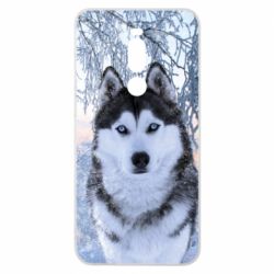 Чохол для Meizu Note 8 Winter Husky - PrintSalon