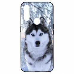 Чохол для Oppo A31 Winter Husky - PrintSalon