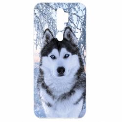 Чохол для Oppo A5/A9 2020 Winter Husky - PrintSalon