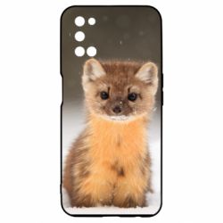 Чехол для Oppo A52/A72/A92 Пушистая куница - PrintSalon