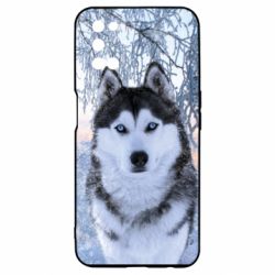 Чохол для Oppo A52 / A72 / A92Winter Husky - PrintSalon