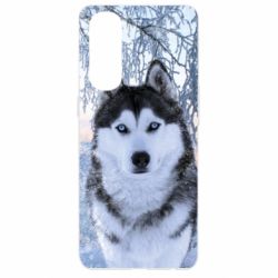 Чохол для Oppo Reno 4 Pro Winter Husky - PrintSalon